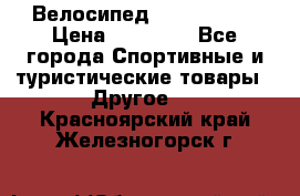 Велосипед Viva Castle › Цена ­ 14 000 - Все города Спортивные и туристические товары » Другое   . Красноярский край,Железногорск г.